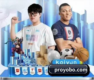 yobo体育官网 APP